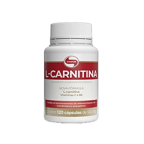 Melhor L-Carnitina de 2026: Análise dos 5 Principais Modelos