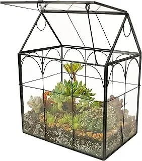 Melhor Terrário em 2026: 5 Opções para Plantas, Suculentas e Répteis