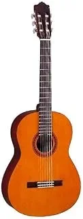 Melhor Violão Acústico 2026: 5 Modelos para Iniciantes e Estudantes