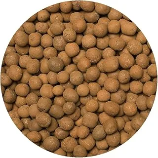 Argila Expandida Premium 2L