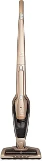 Electrolux Ergorapido ERG26 Dourado