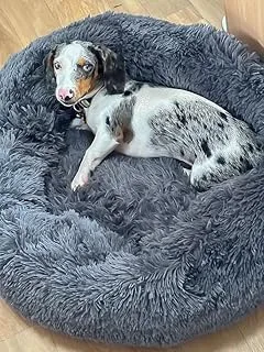 Cama Pet Nuvem Pelúcia Grande