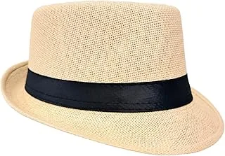 Chapéu Panamá Genérico Entrada