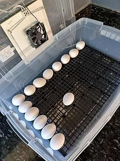 Chocadeira Pet 48 Ovos Automática