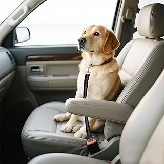 Cinto Elástico Anti-choque