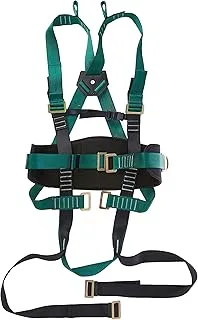 Cinto Carbografite CG 795EP