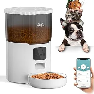 Alimentador Gato Automático Wi-Fi