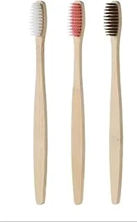 Kit 3 Escovas Ecológicas