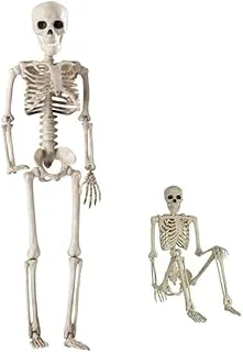 Esqueleto Humano Articulado 40 cm