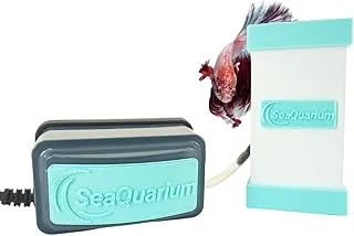 Filtro Para Pequenos Aquários e Bettas