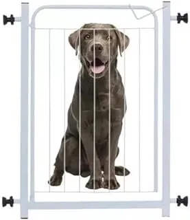 Grade Pet Econômica