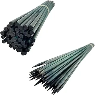 Kit 10 Estacas Haste Pintada Bambu 1M