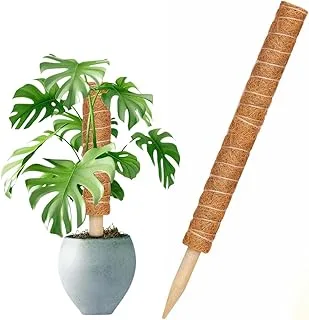 Tutor de Fibra de Coco Top Garden 120cm