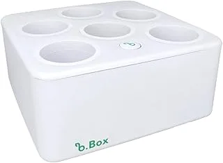 Brota Autoirrigável Básico