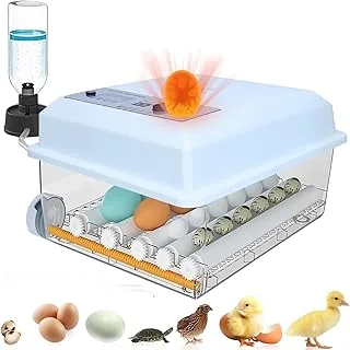 Incubadora 16 Ovos Giro Automático