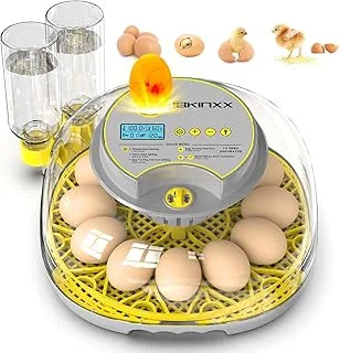 Incubadora Controle de Umidade 12 Ovos