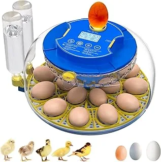 Incubadora Embutida 18 Ovos