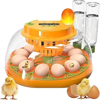 Incubadora Compacta Visor Simples 12 Ovos