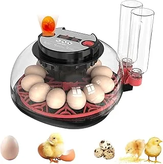 Incubadora Rotação Automática 12 Ovos