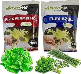 Kit Nutrientes Hidroponia Completo