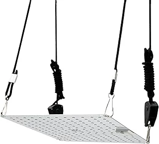 Master Plants Quantum Board 65W