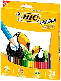 Bic Evolution Sextavado 24 Cores