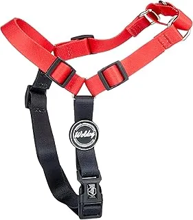 Woldog Variedade de Cores