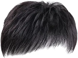 Peruca Masculina Lisa Natural