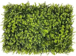 Placa de Grama Eucalipto Muro Verde