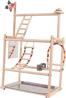 Centro de Atividades Birds Gym