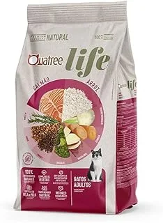 Quatree Life Gatos Filhotes