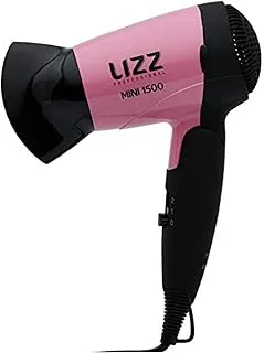 Lizz Professional Mini JF1001