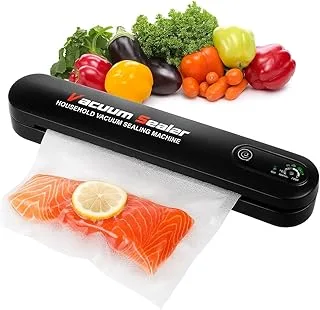 Seladora Portátil Genérica