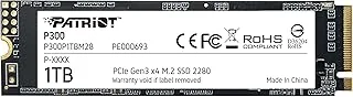 Patriot P300 1TB NVMe Gen3