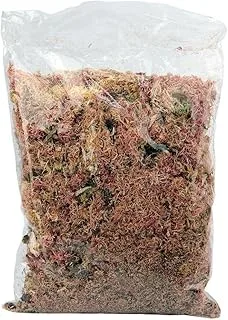 Musgo Rosa Natural Sphagnum 40G