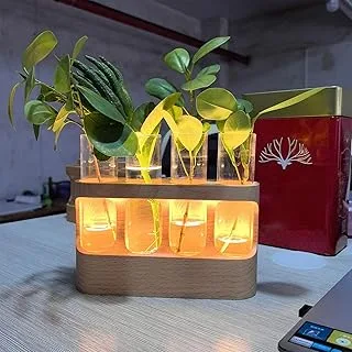 Estação De Propagação Com Luz LED