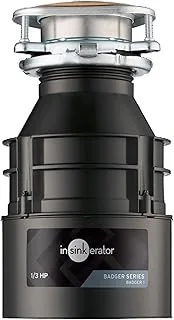 InSinkErator Badger 1