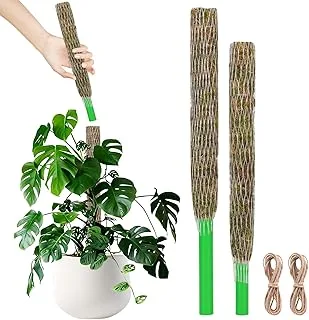 Mastro de Musgo Preenchível Design Moderno