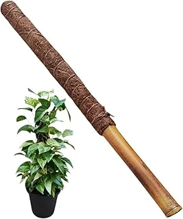 Tutor Fibra Coco 40cm Plantas Trepadeiras