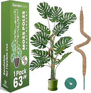 Mastro Dobrável para Monstera 163cm