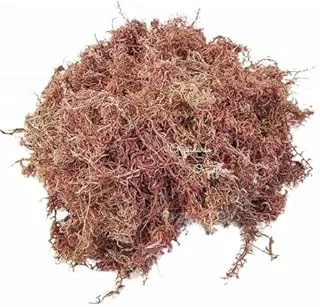 Musgo Sphagnum Orgânico Substrato 5L