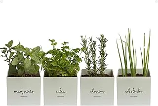 Kit 4 Vasos Minha Horta