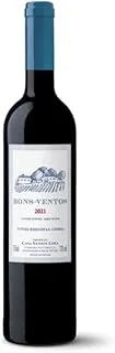 Bons Ventos Tinto